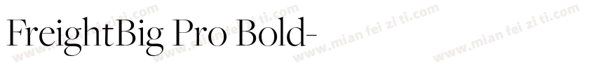 FreightBig Pro Bold字体转换